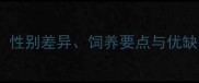 母金毛犬vs公金毛犬全攻略性别差异饲养要点与优缺点对比分析附最新数据