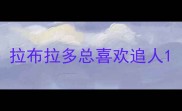 拉布拉多总喜欢追人