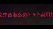 拉布拉多换牙期乱咬东西怎么办5个实用妙招让狗狗安静下来