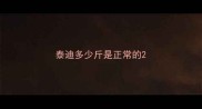 泰迪多少斤是正常的