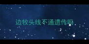 边牧头线不通遗传吗