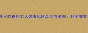 拉布拉多犬吃糖的五大健康风险及饲养指南科学喂养全攻略