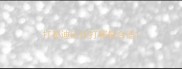 打泰迪应该打哪最合适