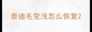 泰迪毛变浅怎么恢复