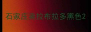 石家庄卖拉布拉多黑色