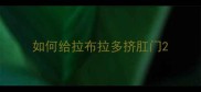 如何给拉布拉多挤肛门