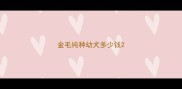 金毛纯种幼犬多少钱