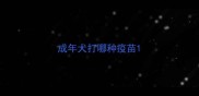 成年犬打哪种疫苗