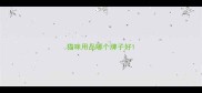 猫咪用品哪个牌子好