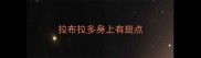 拉布拉多身上有斑点