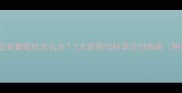 狗狗接种疫苗后频繁呕吐怎么办5大原因与科学应对指南附护理全流程