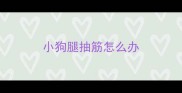小狗腿抽筋怎么办