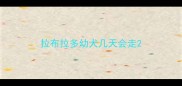 拉布拉多幼犬几天会走