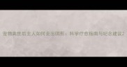宠物离世后主人如何走出阴影科学疗愈指南与纪念建议