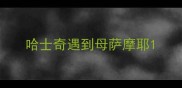 哈士奇遇到母萨摩耶