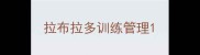 拉布拉多训练管理