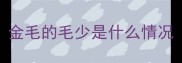 金毛的毛少是什么情况
