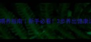 柯基犬科学喂养指南新手必看3步养出健康活泼小短腿
