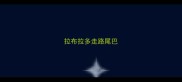 拉布拉多走路尾巴