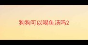 狗狗可以喝鱼汤吗