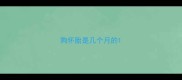 狗怀胎是几个月的