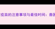 狗狗天冷打疫苗的注意事项与最佳时间兽医专业指南