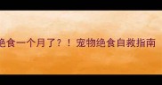 救命我家猫绝食一个月了宠物绝食自救指南附真实案例