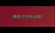 博美2个月什么样