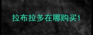 拉布拉多在哪购买