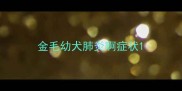 金毛幼犬肺炎啊症状