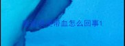 泰迪便便带血怎么回事
