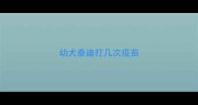 幼犬泰迪打几次疫苗