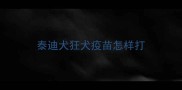 泰迪犬狂犬疫苗怎样打