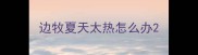 边牧夏天太热怎么办