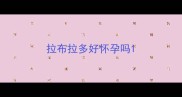 拉布拉多好怀孕吗