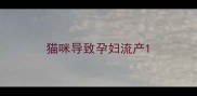 猫咪导致孕妇流产