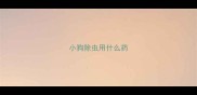 小狗除虫用什么药