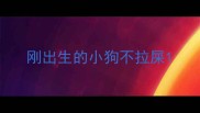 刚出生的小狗不拉屎