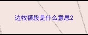 边牧额段是什么意思
