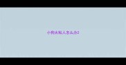 小狗太粘人怎么办