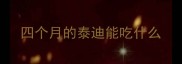 四个月的泰迪能吃什么