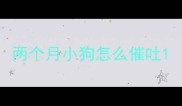 两个月小狗怎么催吐