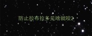 防止拉布拉多见啥就咬