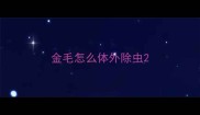 金毛怎么体外除虫