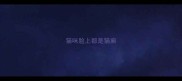 猫咪脸上都是猫癣