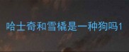 哈士奇和雪橇是一种狗吗