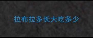 拉布拉多长大吃多少