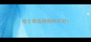 哈士奇品种狗好不好