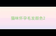 猫咪怀孕毛发颜色