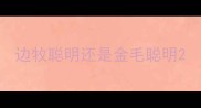 边牧聪明还是金毛聪明